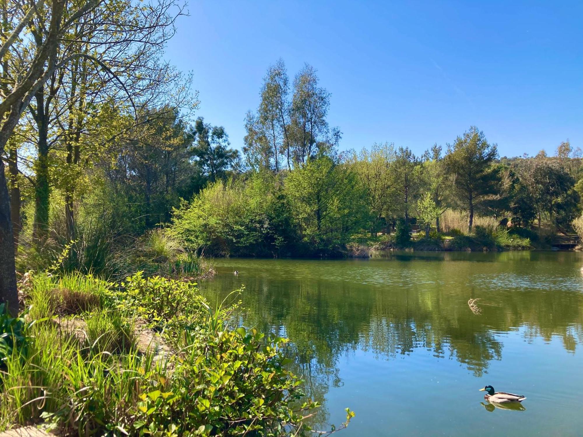 Les Restanques Vue Mer Pressoir 3131 Daire Grimaud Dış mekan fotoğraf