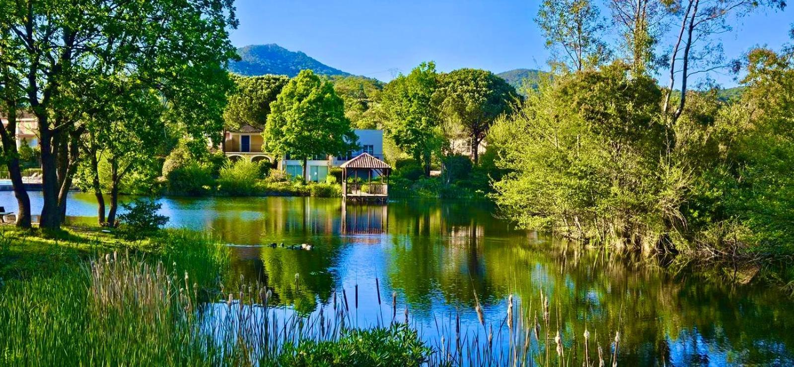 Les Restanques Vue Mer Pressoir 3131 Grimaud Dış mekan fotoğraf